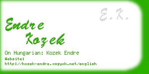 endre kozek business card